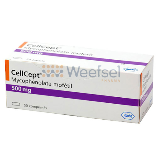 Mycophenolate Mofetil Capsules By WEEFSEL PHARMA