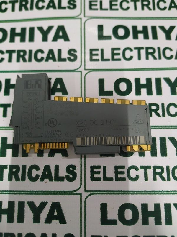 B&R X20 DC 2190 INPUT MODULE