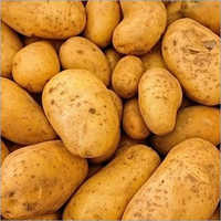 Fresh Potato