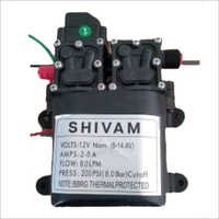 12 V 200 Psi Double DC Motor Pump