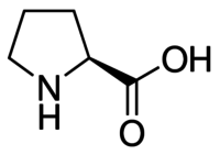 L Amino Acid