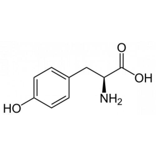 L Tyrosine