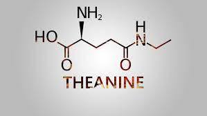 L Theanine