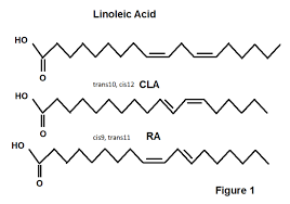 Conjugated Linoleic Acid ( CLA  By SOLITUDE GLOBAL IMPEX