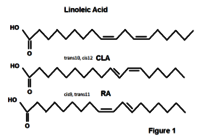 Conjugated Linoleic Acid ( CLA )