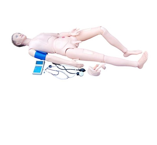 ConXport Advanced Nurse Training Doll with Blood Pressure Training Arm (male/female)