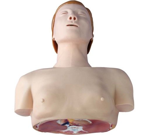 Conxport Basic Cpr Training Model (Half Body)