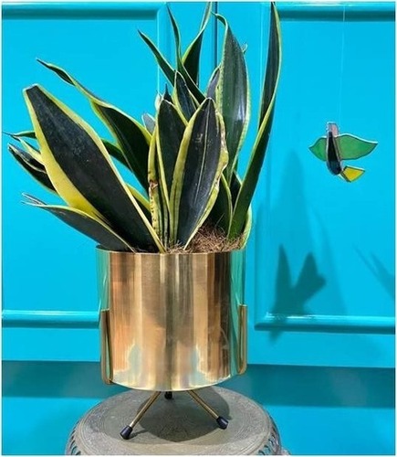 Iron Pot With Stand Gold Finish Height: Dia-20  H-25  Centimeter (Cm)
