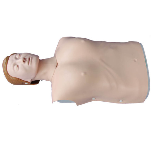 ConXport Half Body CPR Training Model (Female)
