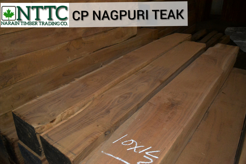 Cp Nagpur teakwood