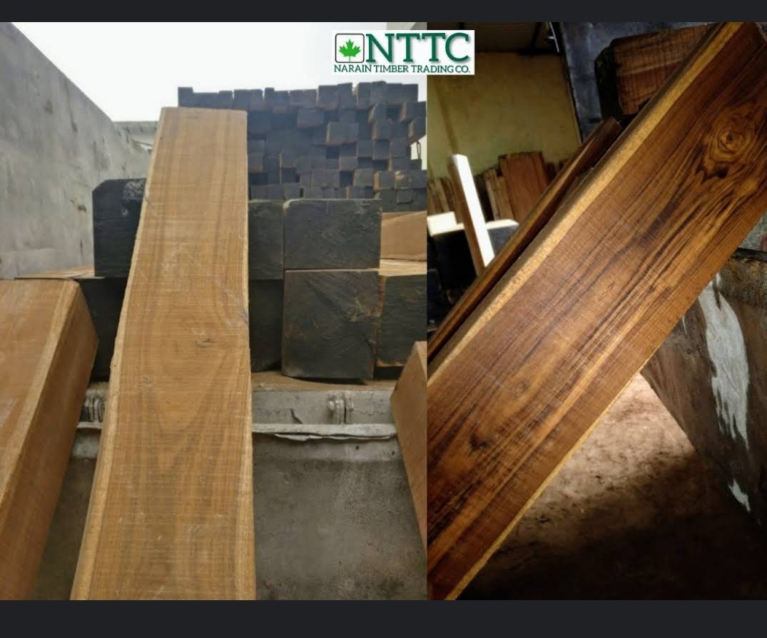 Cp Nagpur teakwood