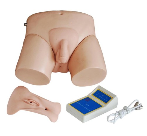 ConXport Electronic Urinary Model
