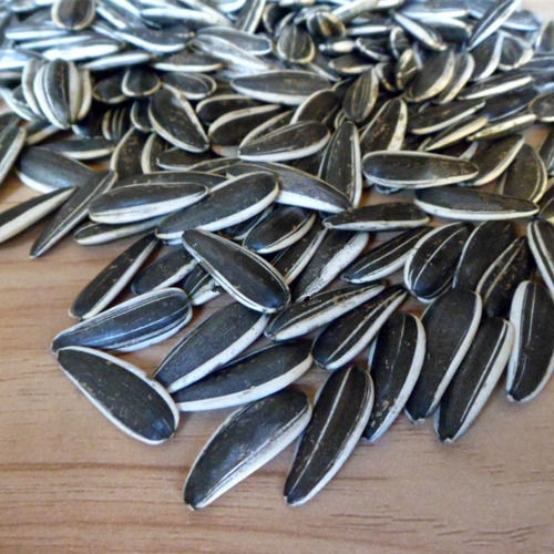 Raw Sunflower Seeds