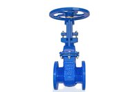 Rising Spindle Sluice Valve
