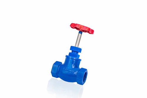 Globe Valve Screwed End