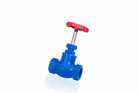Globe Valve Screwed End