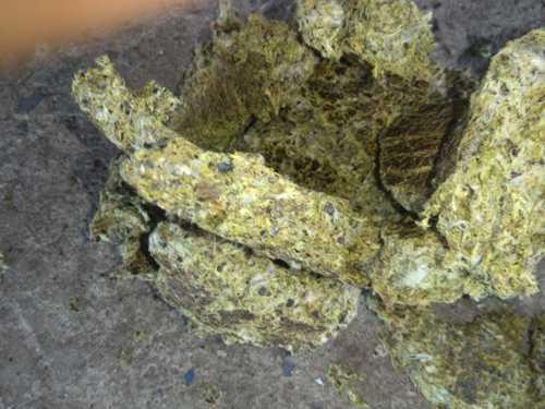 Cattle feed