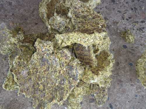 Animal Diet feed