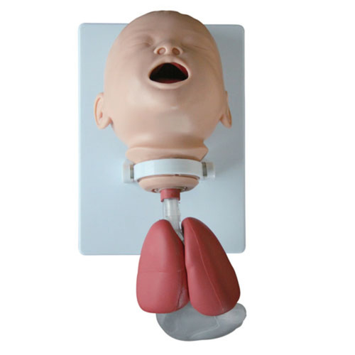 ConXport Infant Intubation Training Model