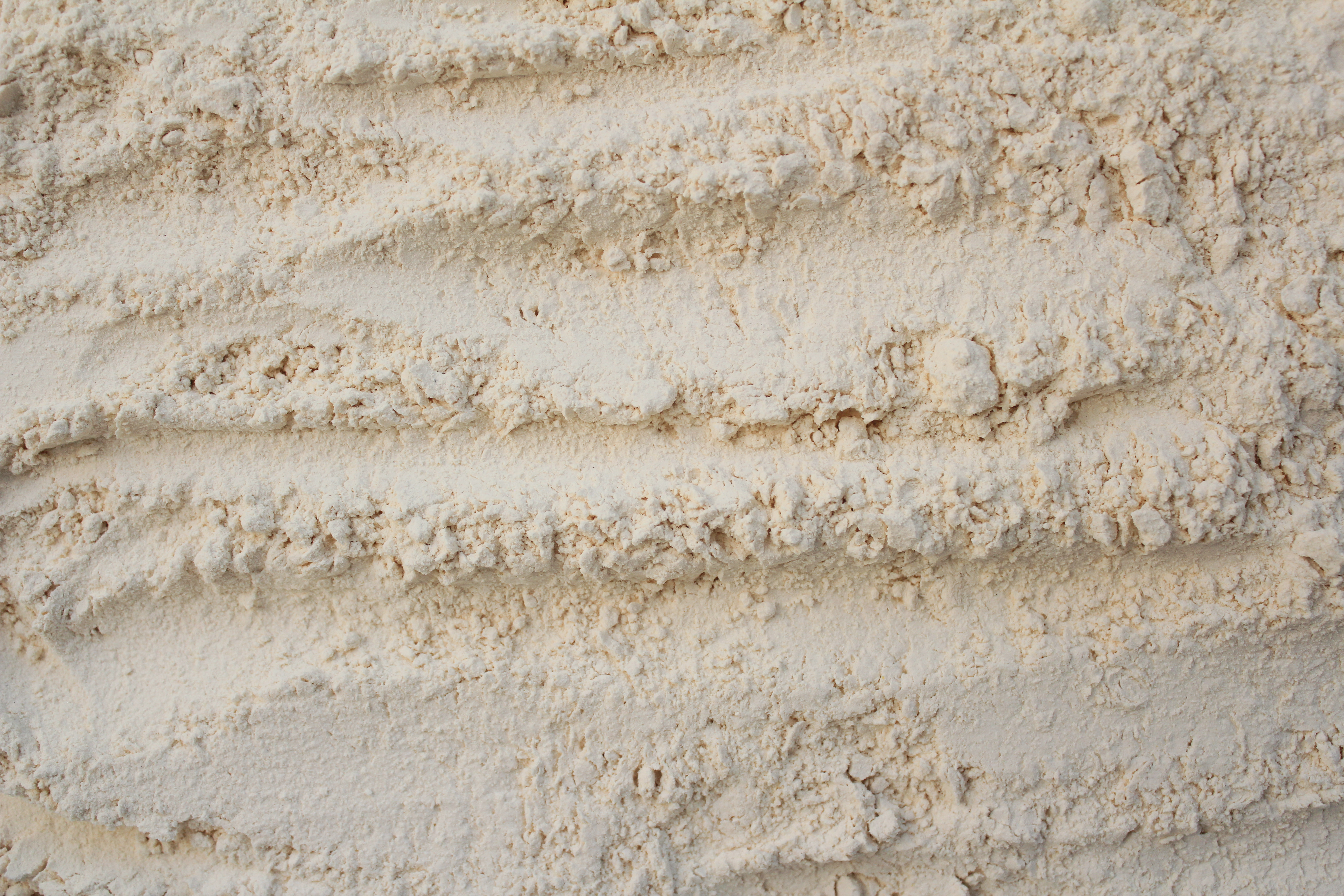 Gluten Free Pea Flour