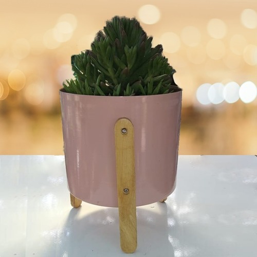 POT WITH WOODEN OUTDOOR STAND