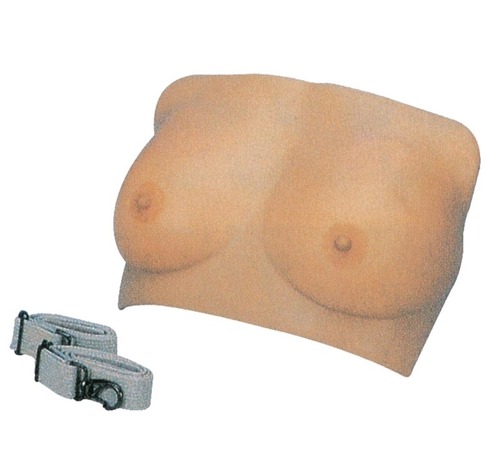 ConXport Breast Examination Model