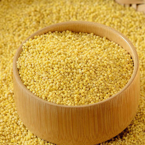 Yellow Millet
