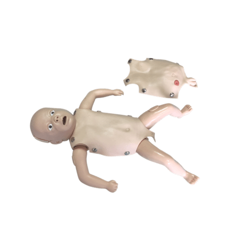 ConXport Advanced Newborn Nursing Model