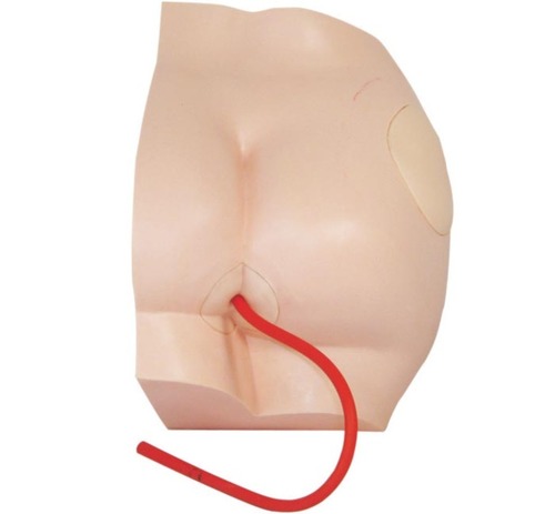 ConXport Buttock Injection Model