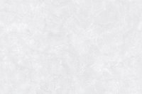 15170 GLOSSY CERAMIC WALL TILES 300X450mm