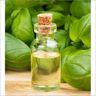 Basil Oil Age Group: All Age Group