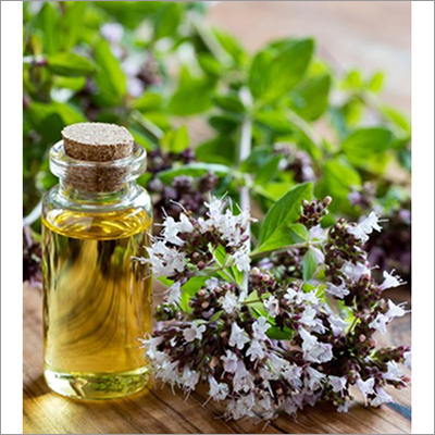 Online Oregano Oil Age Group: All Age Group
