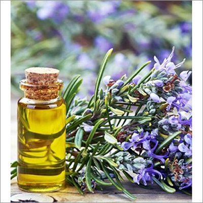 Rosemary Oil Age Group: All Age Group