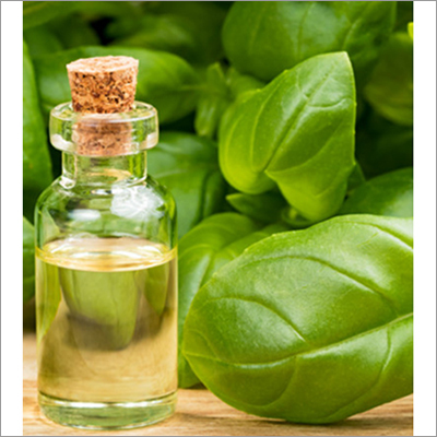 Methyl Chavicol Oil Age Group: All Age Group