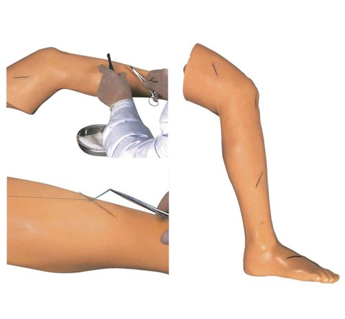ConXport Advanced Suture Practice Leg