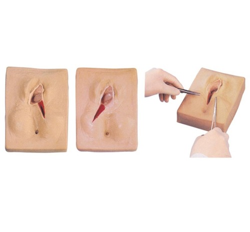 ConXport Vulva Suturing Training Simulator