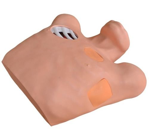 ConXport Pneumothorax / Pleural Drainage (Artificial Hydrothorax) Simulator