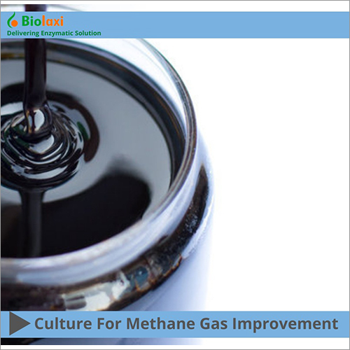 BL Methane Gas Improvement Culture By BIOLAXI CORPORATION