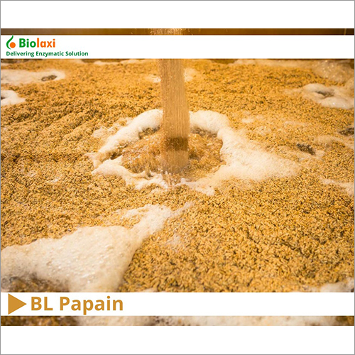 BL Papain Enzymes By BIOLAXI CORPORATION