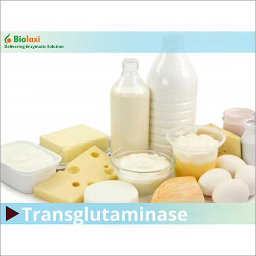 BL Transglutaminase Enzymes