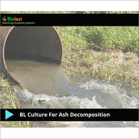BL Culture For Ash Decomposition Enzymes