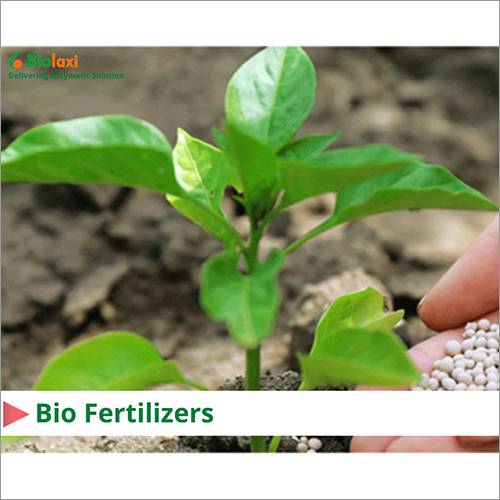 Fertilizers Enzymes