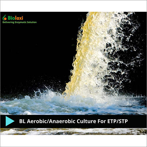 BL Aerobic-Anaerobic Culture For ETP-STP