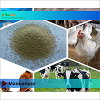 BL Mannanase Enzymes