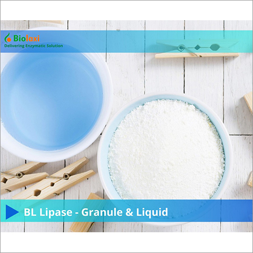 BL Lipase-Granule And Liquid Enzymes