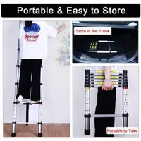9.5 FT (2.9 Meter) Portable Telescopic Aluminum Ladder,10 Steps