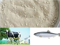 De Oiled Rice Bran (DORB)