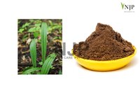 Kalimusli Aqueous Extract
