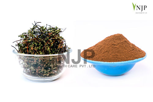 Hansraj Aqueous Extract 