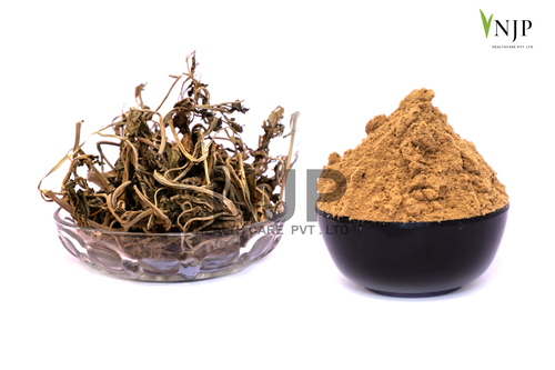 Dhatura Aqueous Extract